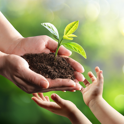 plant in woman's hand