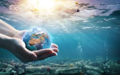 Let’s Take Care of Our Planet and Our Bodies